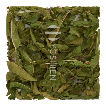 Organic Lemon Verbena Tea