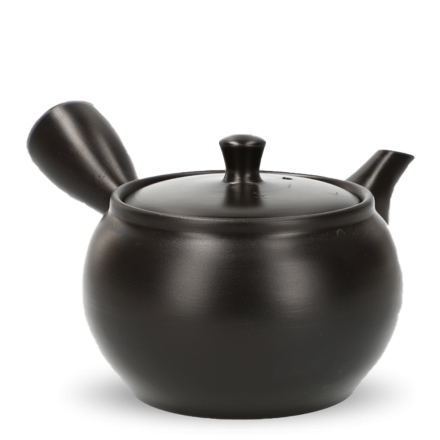 Kyusu Tokoname Kasen Hiraami