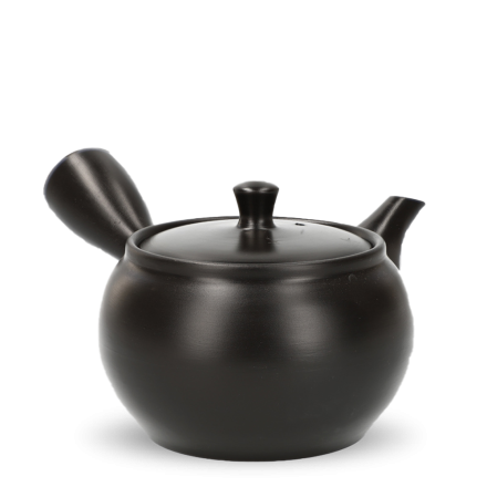 Kyusu Tokoname Kasen Hiraami