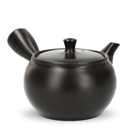 Kyusu Tokoname Kasen Hiraami