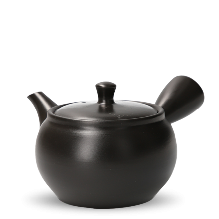 Kyusu Tokoname Kasen Hiraami Lefty