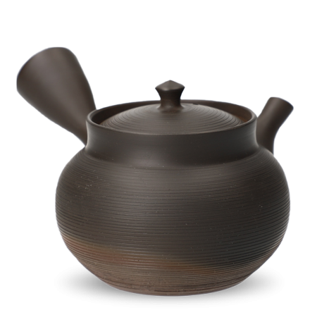 Kyusu Tokoname Gyokko Sendan