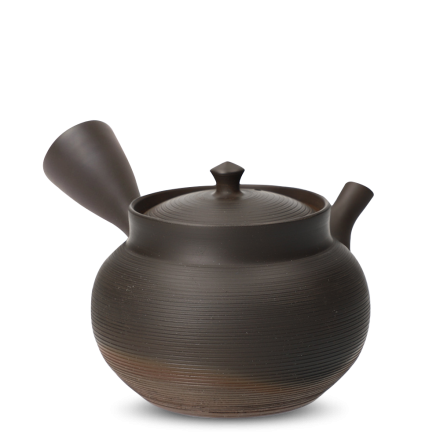 Kyusu Tokoname Gyokko Sendan