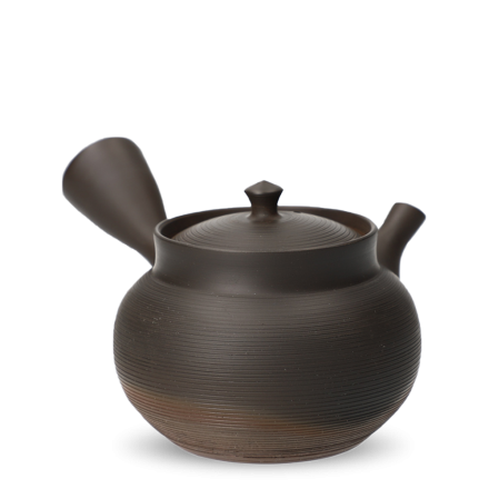 Kyusu Tokoname Gyokko Sendan