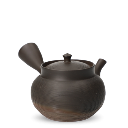 Kyusu Tokoname Gyokko Sendan