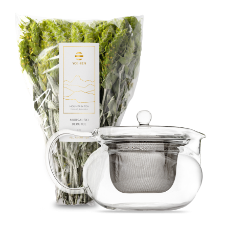 Coffret théière Yoshi En en verre L & Mursalski