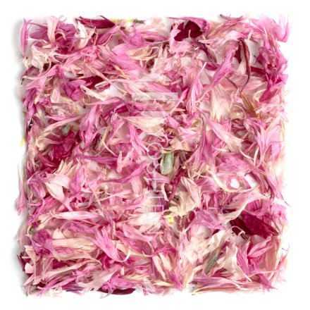 Tisane de Centaurée rose Bio