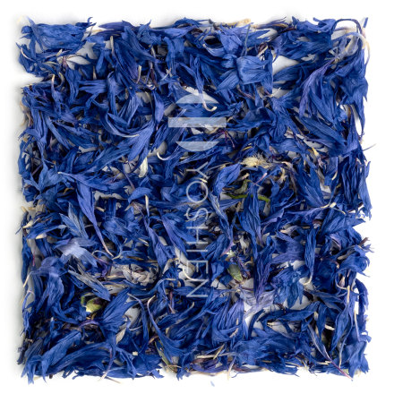 Blue Cornflower Alpine Herbs Organic 