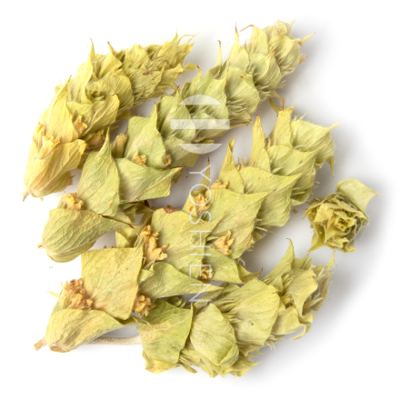Organic Titan Mountain Tea 4x50g