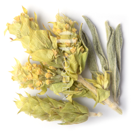 Olymp Bergtee Bio Set 4x50g