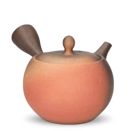 Kyusu Tokoname Isshin Yohen Komadori