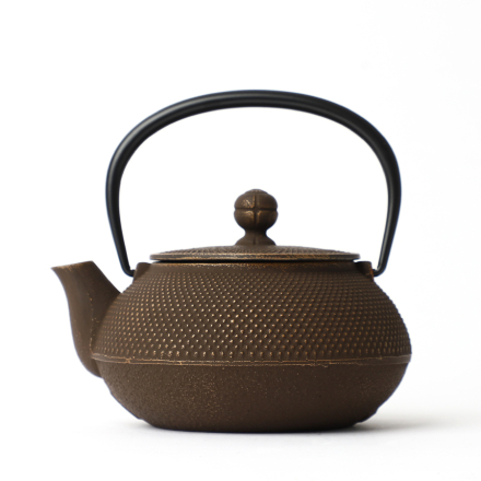 Iwachu Tetsu-Kyusu Arare Gold Coffee