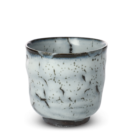 Japanese Teacup Kairagi