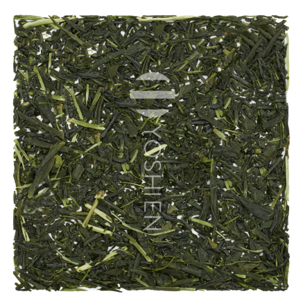 Fukamushi Sencha Organic Niikawa Yamakai Green Tea Japan