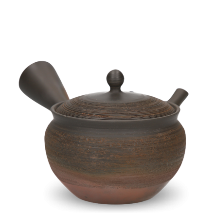 Kyusu Tokoname Gyokko Yohen