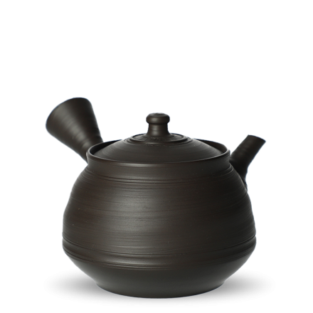 Kyusu Tokoname Fugetsu Fujigata