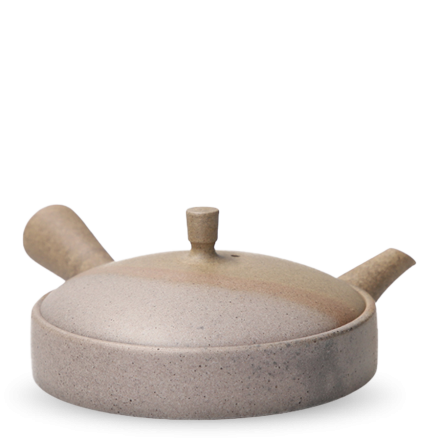 Kyusu Tokoname Jinshu Hira