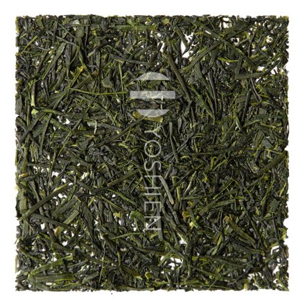 Fukamushi Sencha Organic Chiran Kanayamidori Green Tea Japan