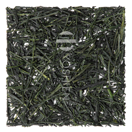 Hon Gyokuro Hoshino Tezumi