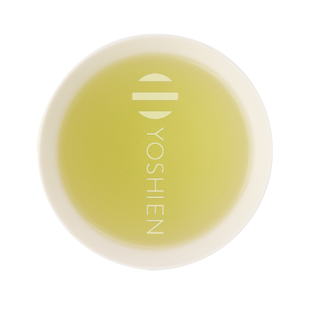 Sencha riche en catéchines | EGCG bio