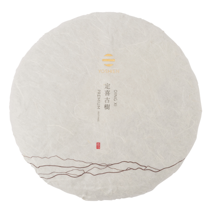 Ding Xi 2021 Sheng Pu Erh