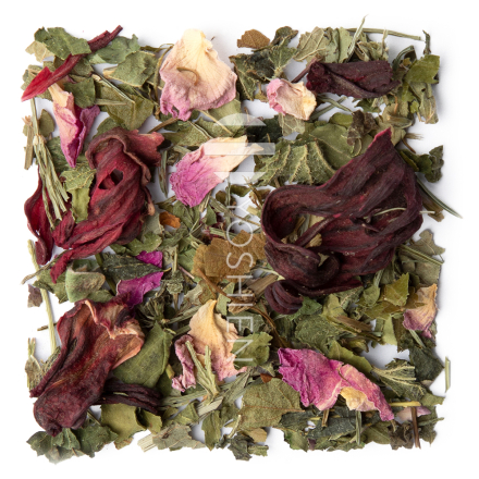 Pression (-) Phyto Balance bio