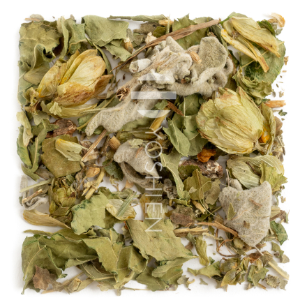 Tisane Estro (+) bio