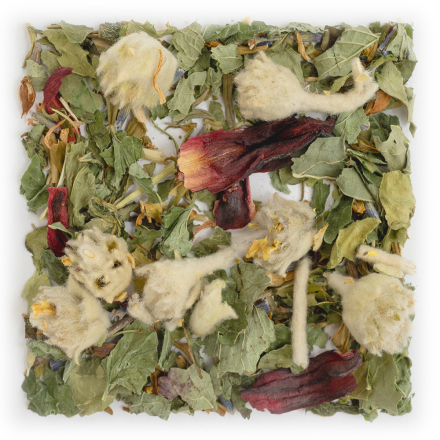 Tisane Good Night Moutain, Phyto Harmonie bio