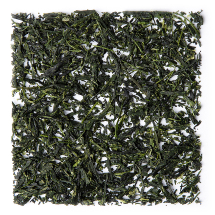 Gyokuro Uji Wazuka Organic