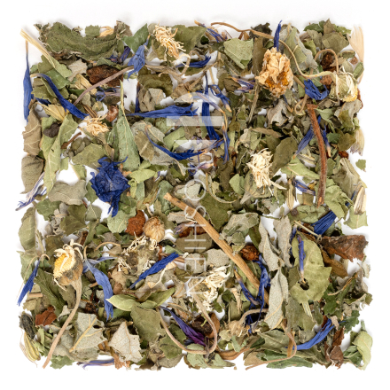 Maman & Bébé Family House Infusion Organic