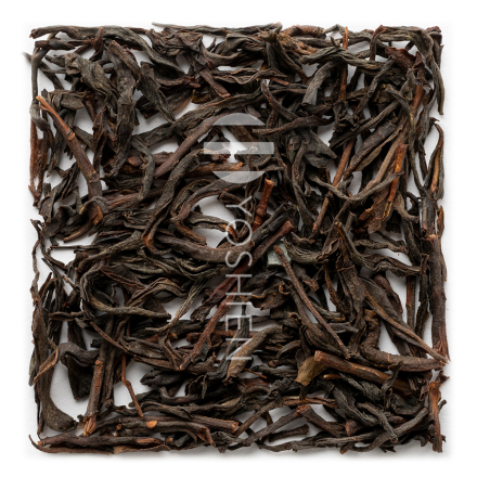 Nilgiri Black Winter Flush Organic