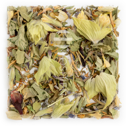 Good Night Valerian Phyto Harmony Bio