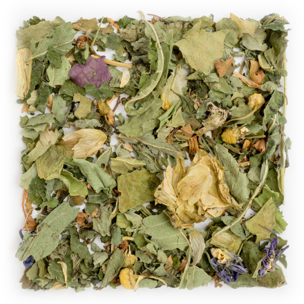 Relax House Infusion bio