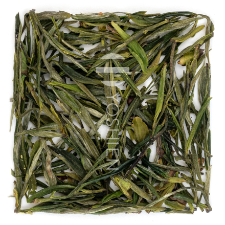 ZI SUN CHA
