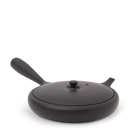 Kyusu Tokoname Jinsui Toki Hira Noir