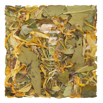Hemo Pure Phyto Balance