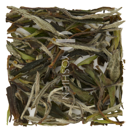 Fuding Bai Mu Dan