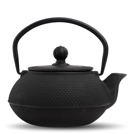 Yoshi en Cast Iron Tetsu-Kyusu Teapot 650ml