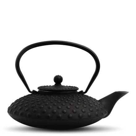 Yoshi en Cast Iron Kambin Teapot 800ml