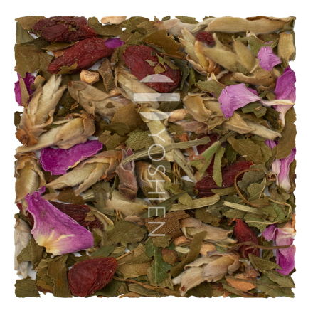 Ginkgo Youth Phyto Activate