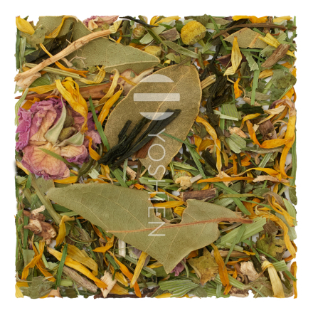 Derma Balance Phyto Harmonie Bio