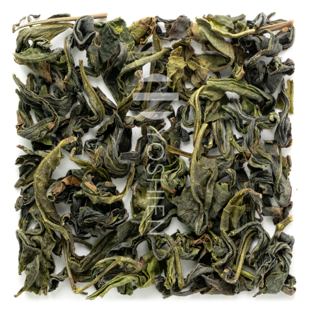Oolong de printemps Minamisayaka
