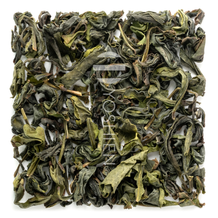 Oolong de printemps Takachiho
