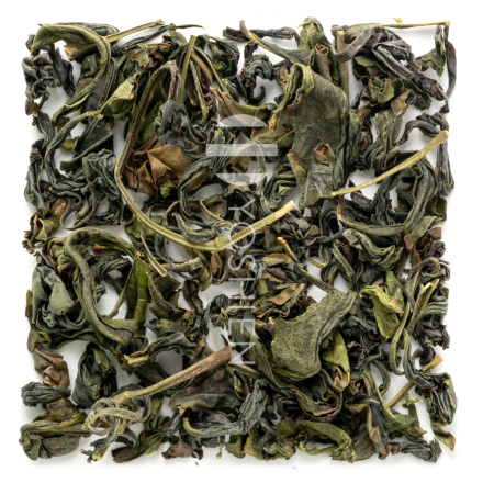 Oolong de printemps Koshun