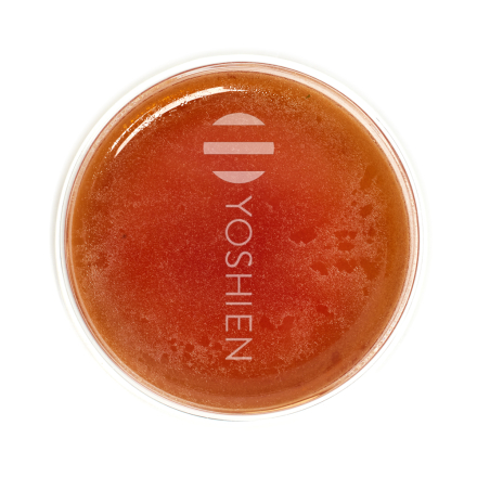 Rooibos Caramel Organic