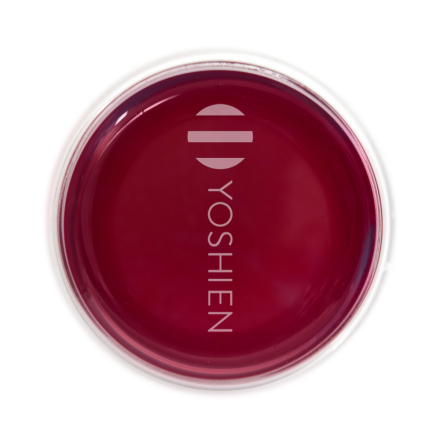 Dragon Fruit Blueberry Caramel Edible Tea