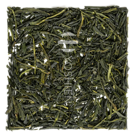 Sencha 
Miyazaki Meiryoku Organic