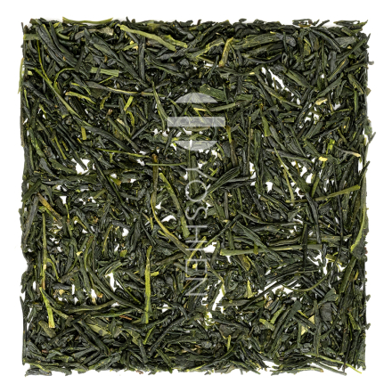 Sencha 
Miyakonojo Asanoka Organic