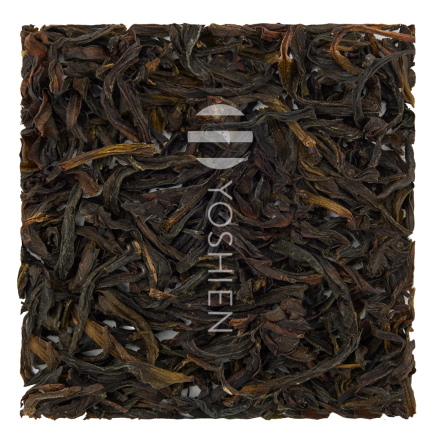 Phoenix Dancong Hong Di