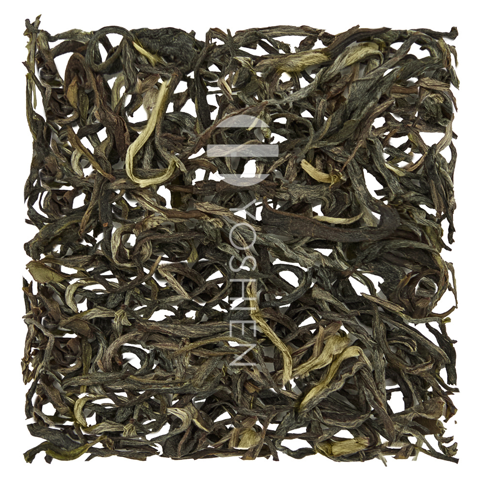 Bai Mao Cha Thé vert riche en catéchines
